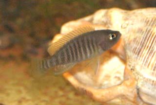 www.israquarium.co.il